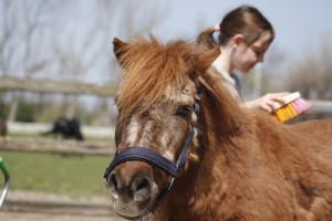 thelwell (1)